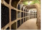 Hire Leading Wine Cellar Company for Spiral Wine Cellars