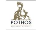 Pothos Nourishment & Lifestyle