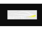 Ceramic Coating & Window Tinting Solutions for Every Car