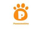Pawsometime Shop | Katzenspielzeug, Hundespielzeug & Andere Arten