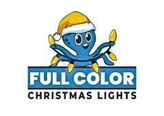 Full Color Christmas Lights