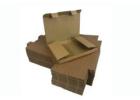 High-Quality Envelope Boxes Designed for Efficiency | Packaging Now