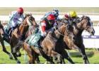 Different Types of Horse Racing Bets for Beginners